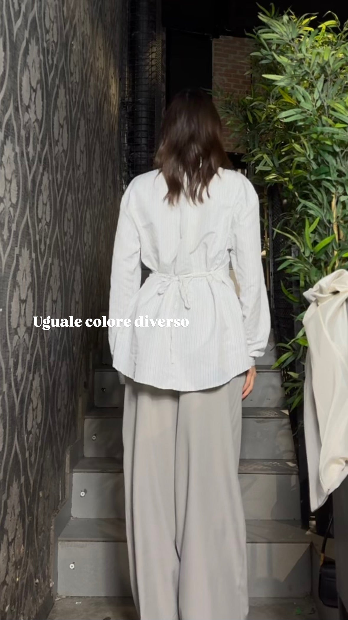 Camicia Cravatta linee 3